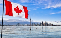 IT技术人才如何快速移民加拿大，IT技术移民加拿大的3种方式推荐