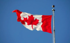 加拿大自雇移民通过率很低吗怎么申请，最新加拿大自雇移民申请条件及流程