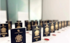 圣基茨护照怎么申请有什么用，深度解析圣基茨护照办理流程及优势