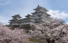 普通人去日本旅游需要什么条件，最新日本自由行政策及办理流程
