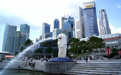 新加坡留学就业专业哪个容易留下，新加坡留学热门专业排行榜